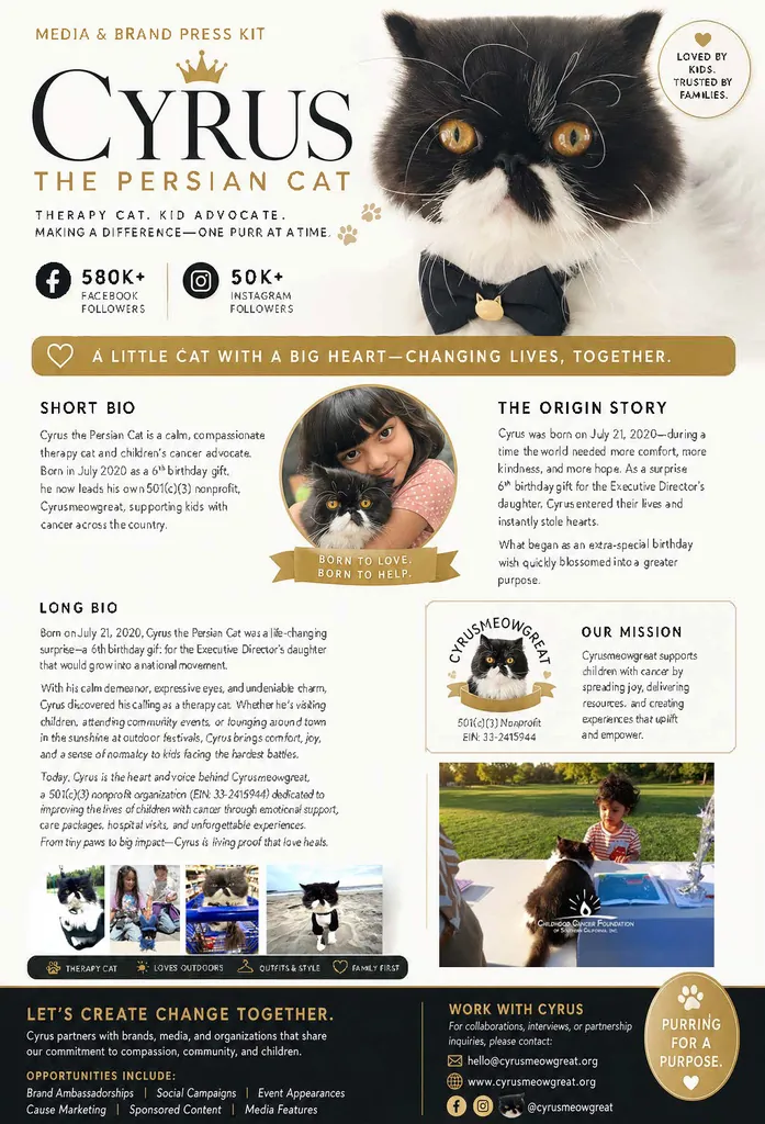 Cover preview of the Cyrusmeowgreat nonprofit media kit